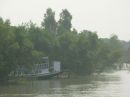 Sunderbans-A wetland Wonder 